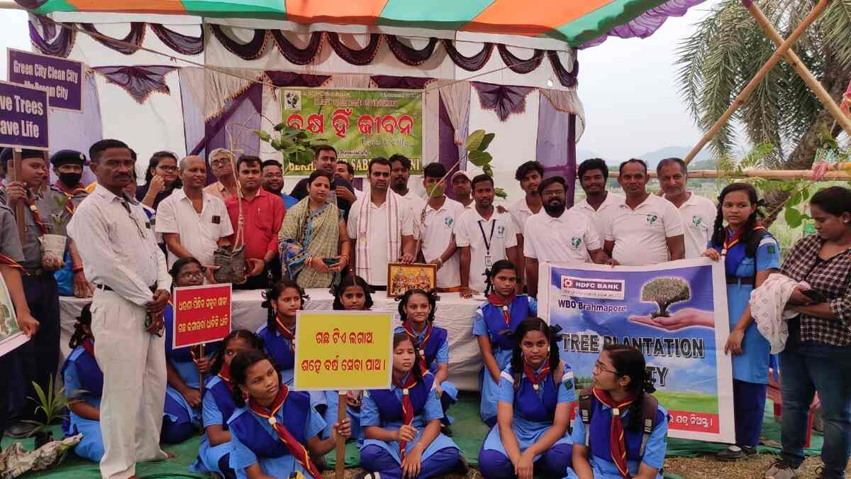 Read more about the article Proper Techniques during Tree Plantation.