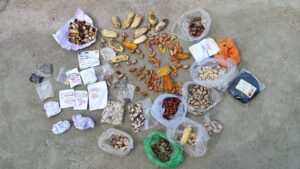 Read more about the article From Seeds to Wilderness with Sankalp School Students