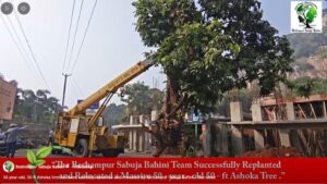 Read more about the article A 50-Year-Old Ashoka Tree Gets a New Life at Mahuri  Kalua Temple