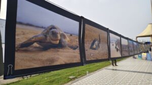 Read more about the article Gopalpur Beach Comes Alive with Canvas Art on World Ocean Day